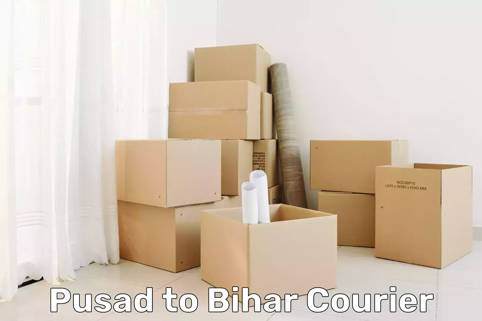 International courier networks Pusad to Barachati