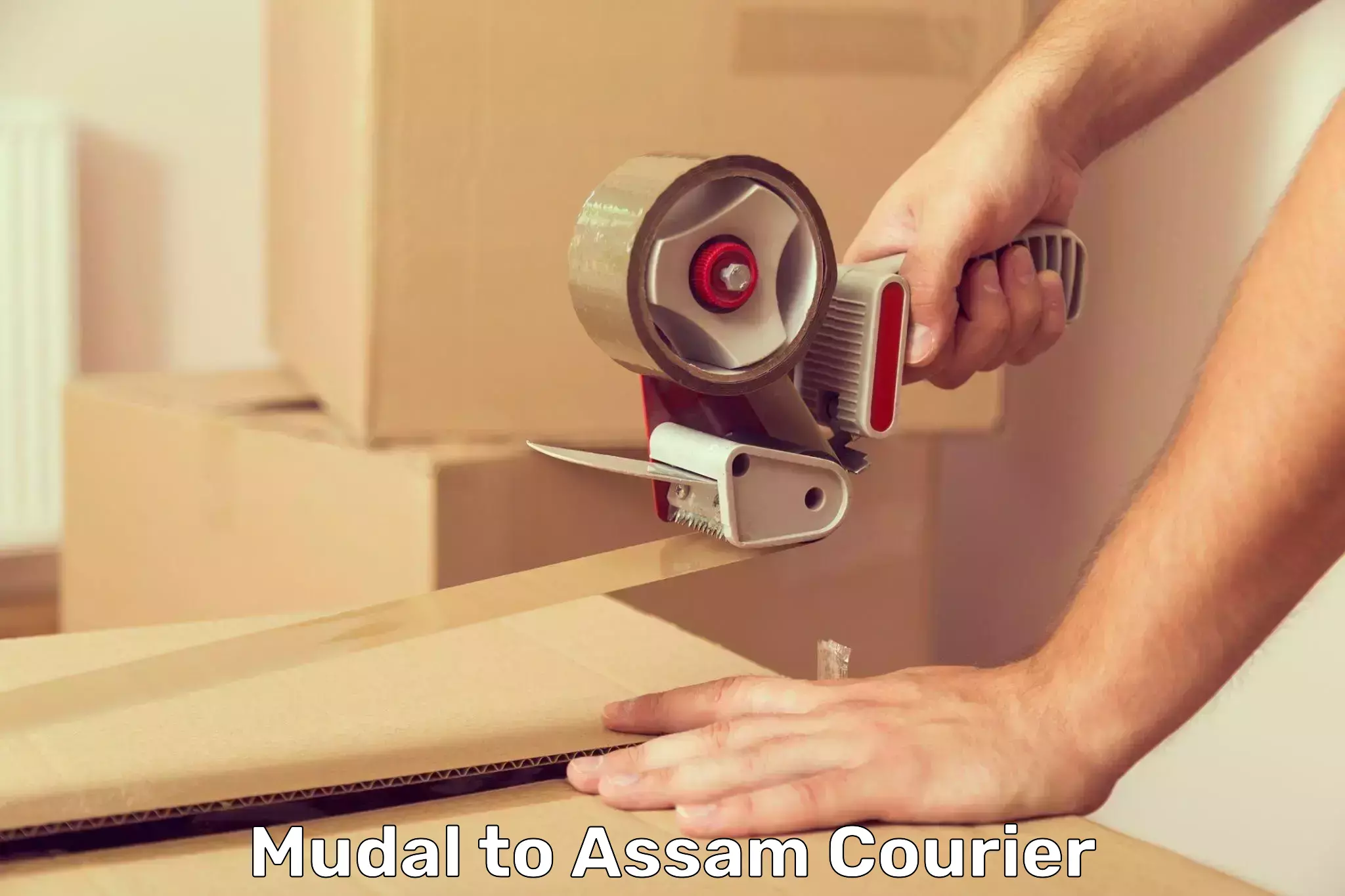 Optimized courier strategies Mudal to Dhubri