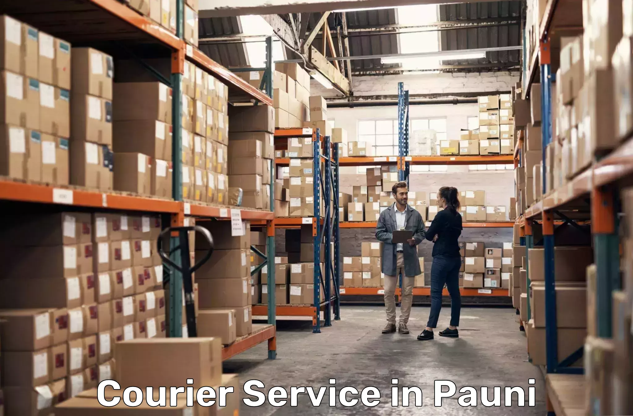 Flexible parcel services in Pauni