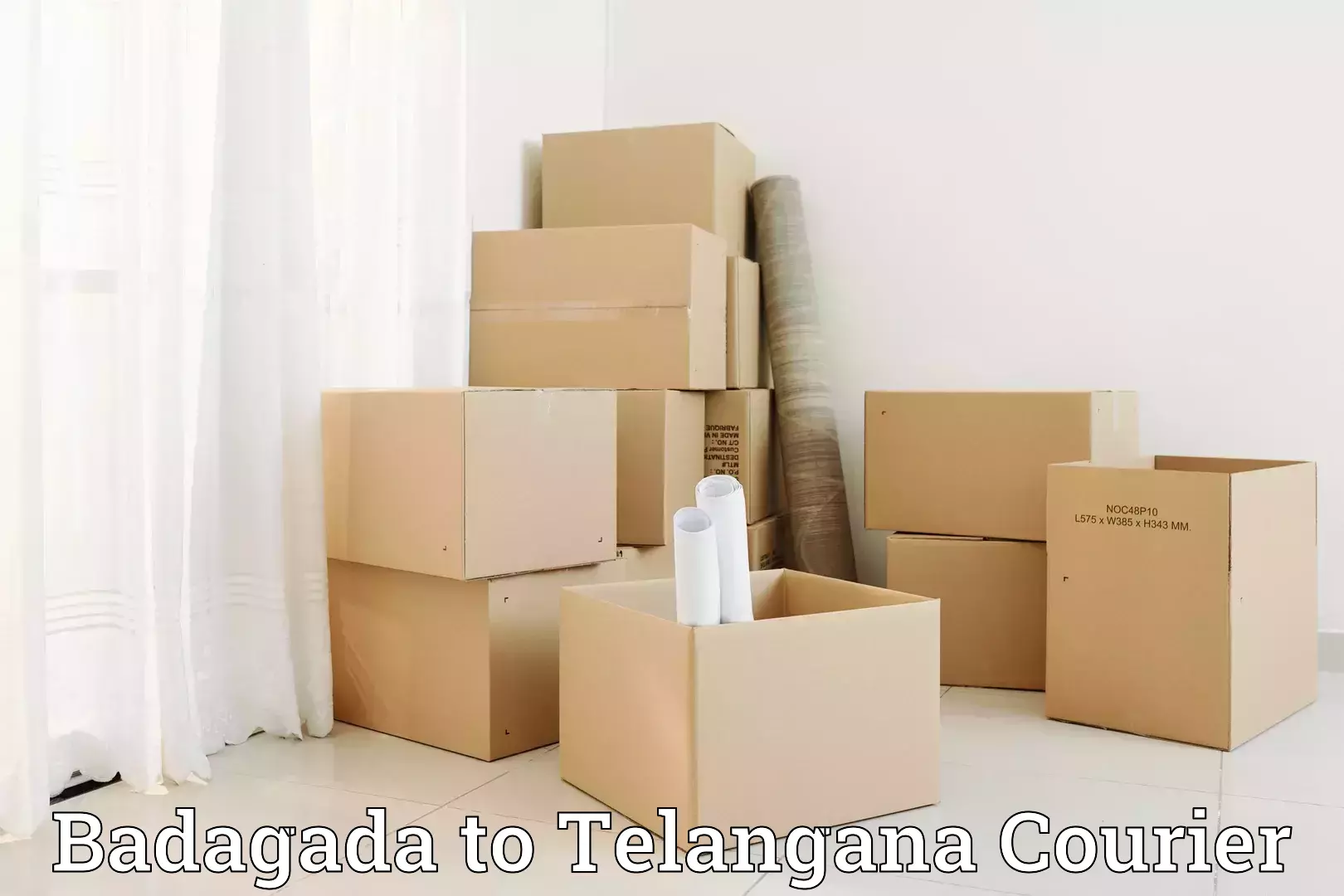 Household moving and storage in Badagada to Telangana