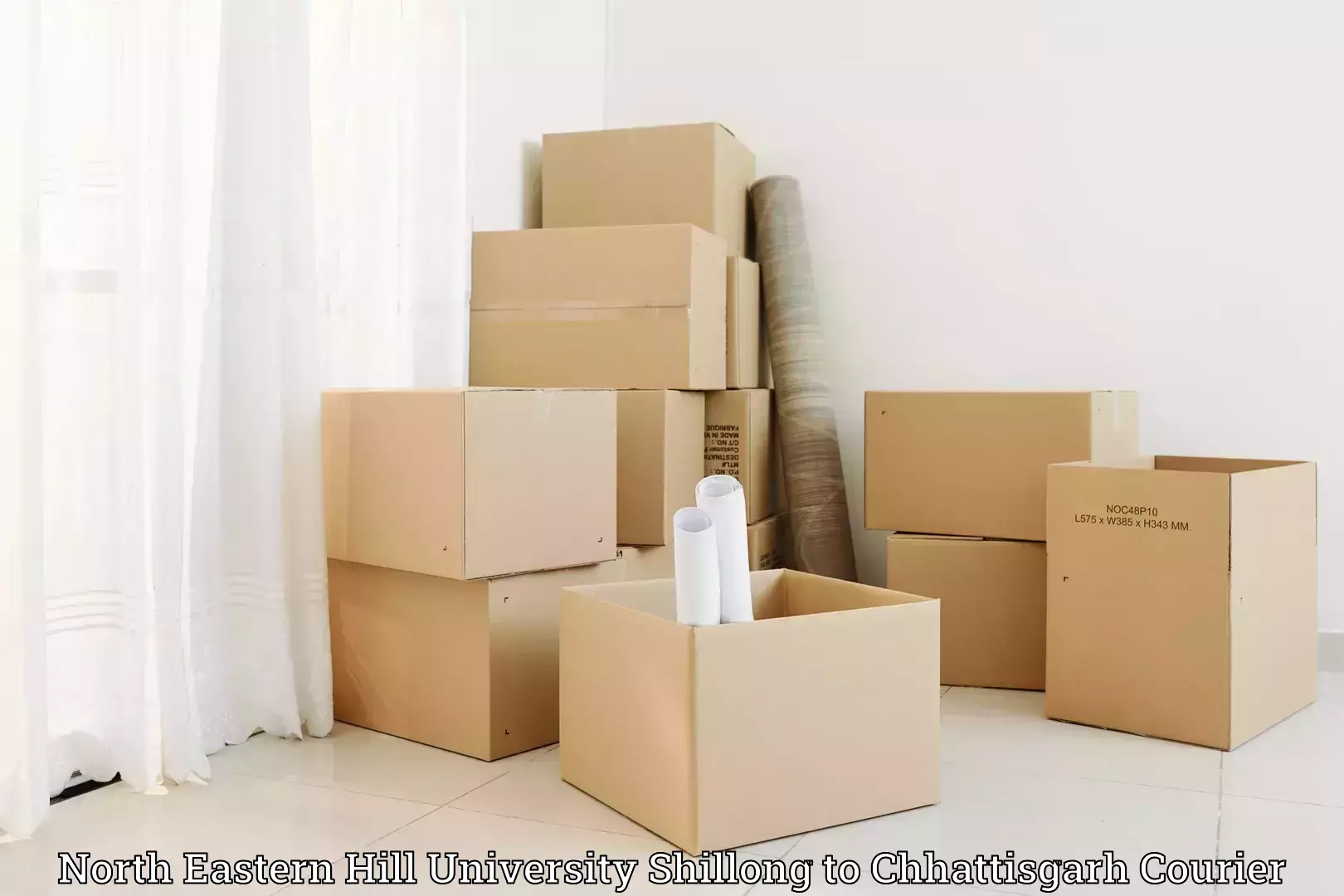 Custom relocation services in North Eastern Hill University Shillong to Patna Chhattisgarh