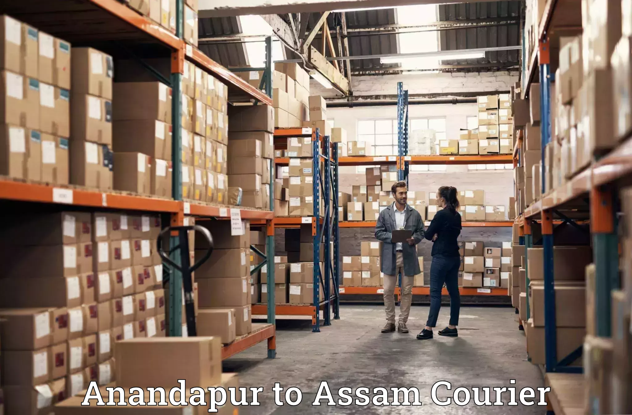 Professional home goods shifting Anandapur to Dhubri