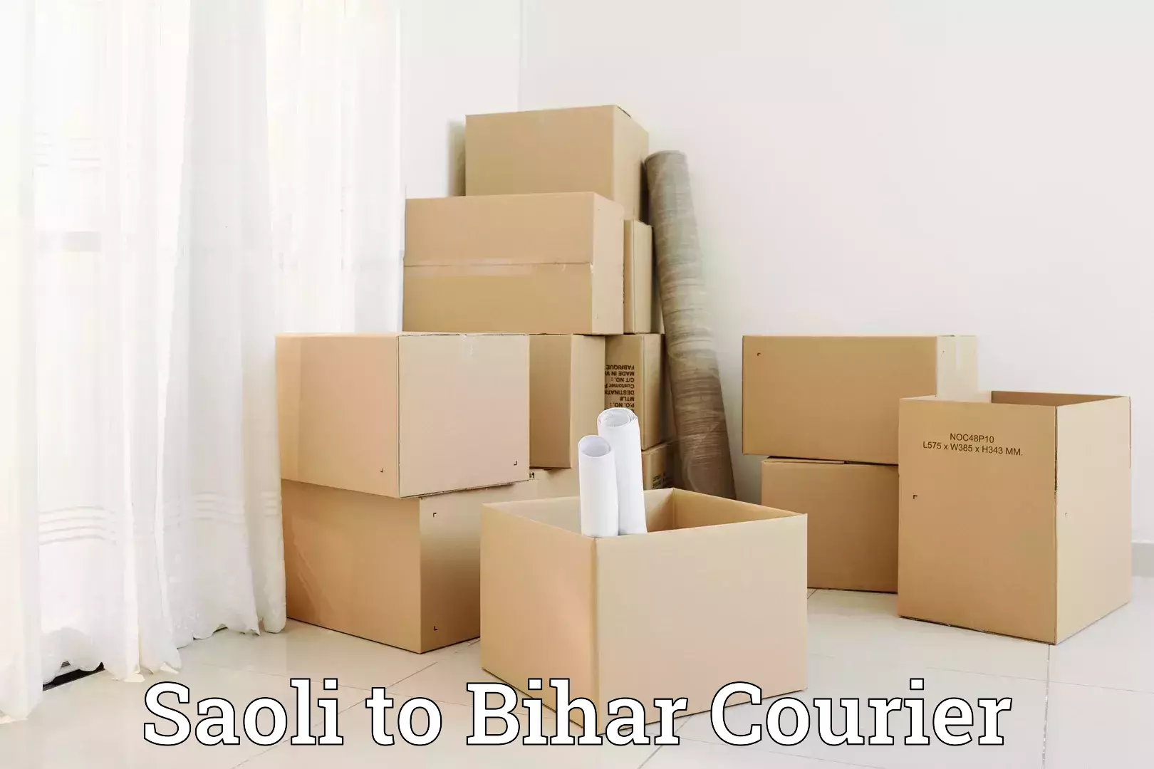 Round trip baggage courier Saoli to Bihta