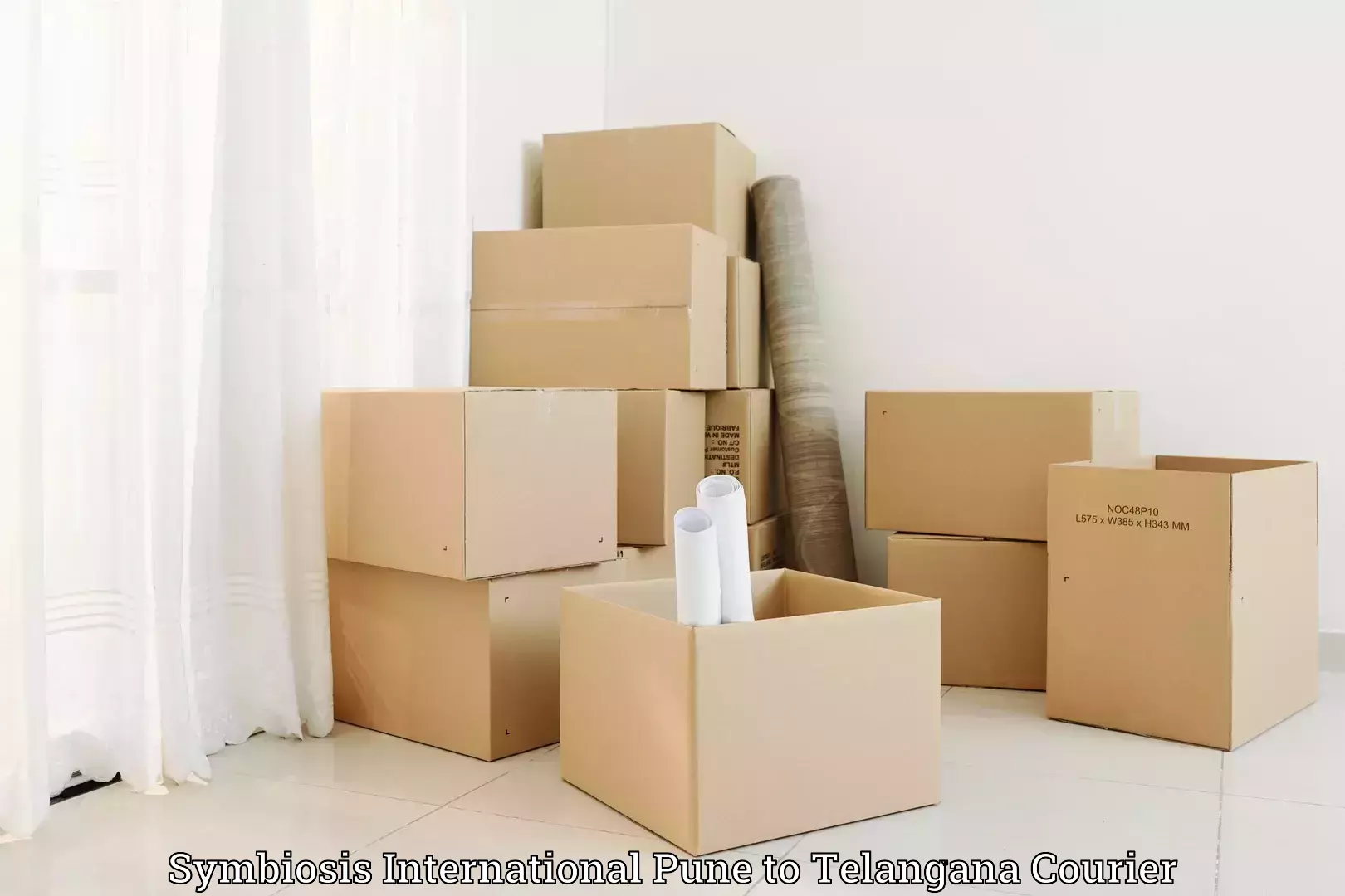 Luggage shipment logistics in Symbiosis International Pune to Telangana