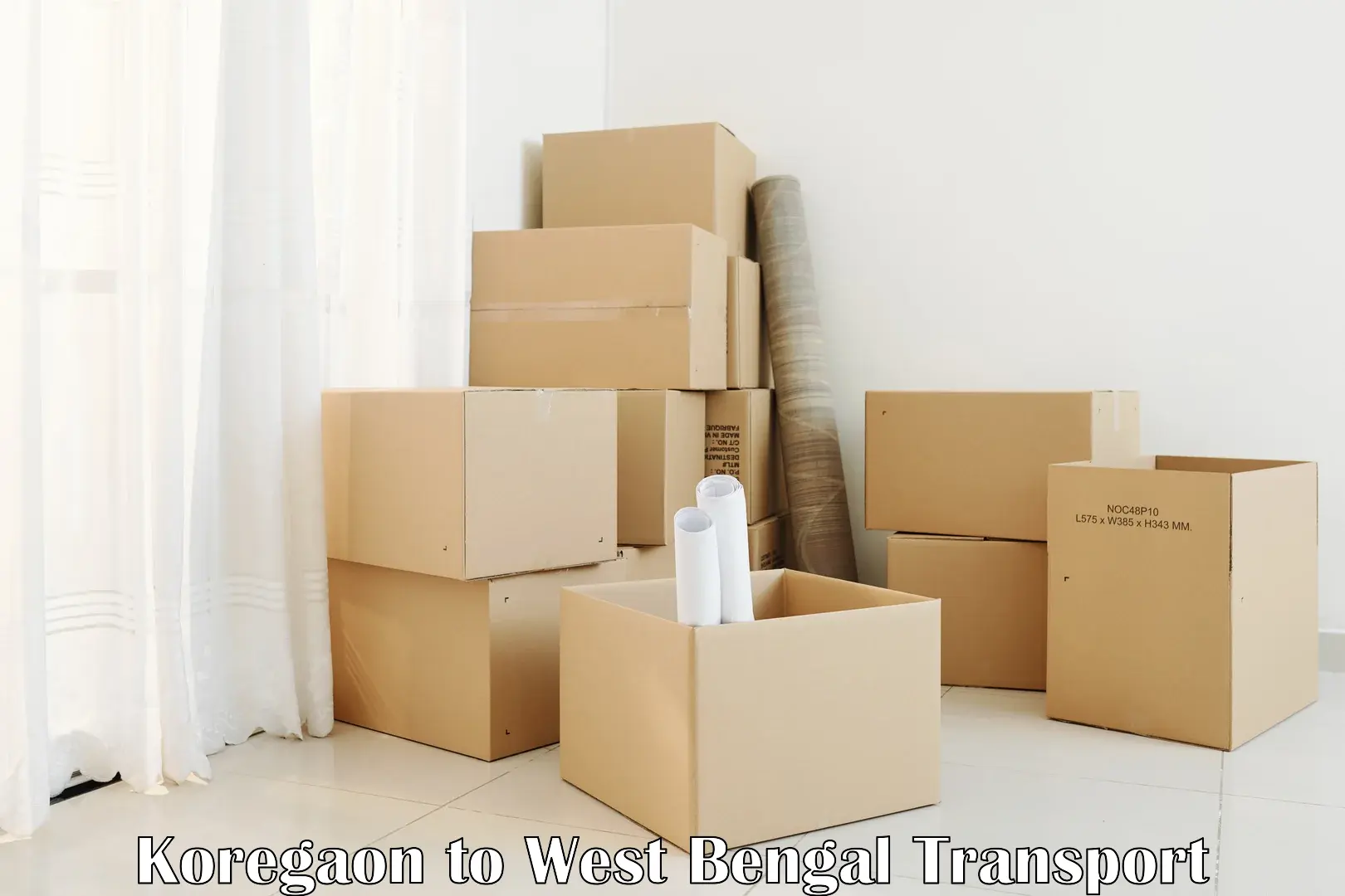 Logistics transportation services Koregaon to Durgapur